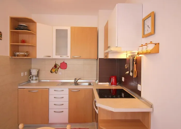 Lägenhet Vojka In Center